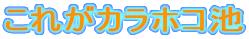 ꂪJzRr