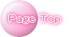 Page Top