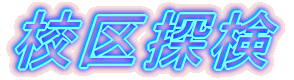 ZT