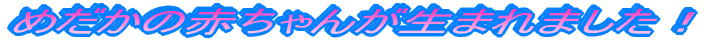 ߂̐Ԃ񂪐܂܂I