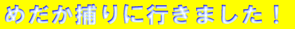߂߂ɍs܂I