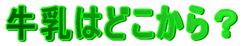 �����͂ǂ�����H