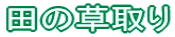 c̑