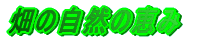 ̎Řb
