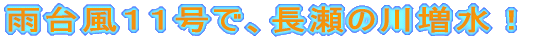 J䕗PPŁA̐쑝I