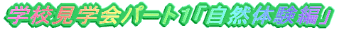 wZwp[gPuŘҁv