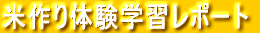 č̌wK|[g