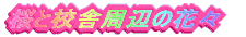 ƍZɎӂ̉ԁX