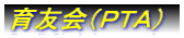 Fios`j