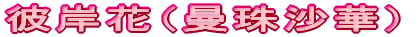 ފ݉ԁi֎썹؁j