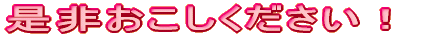 񂨂I