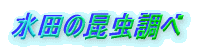 c̍